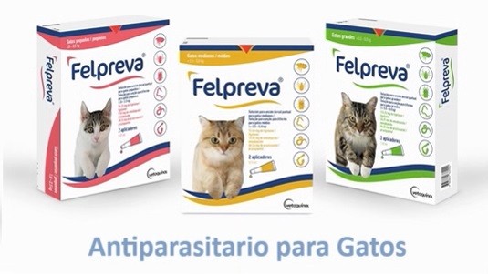 FELPREVA PIPETAS GATOS